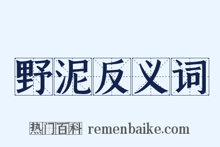 野泥反义词是什么意思的图片